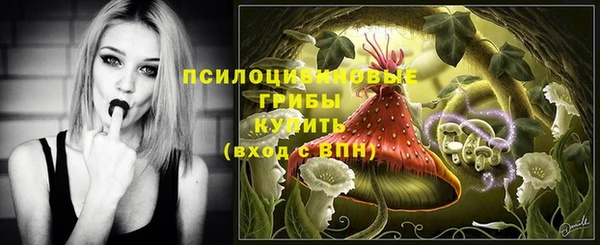 дурь Верхний Тагил