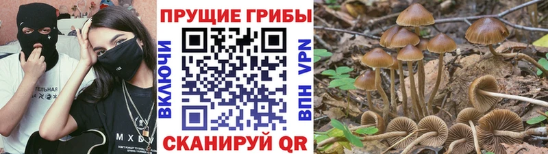 Галлюциногенные грибы ЛСД  магазин продажи наркотиков  Лысково 